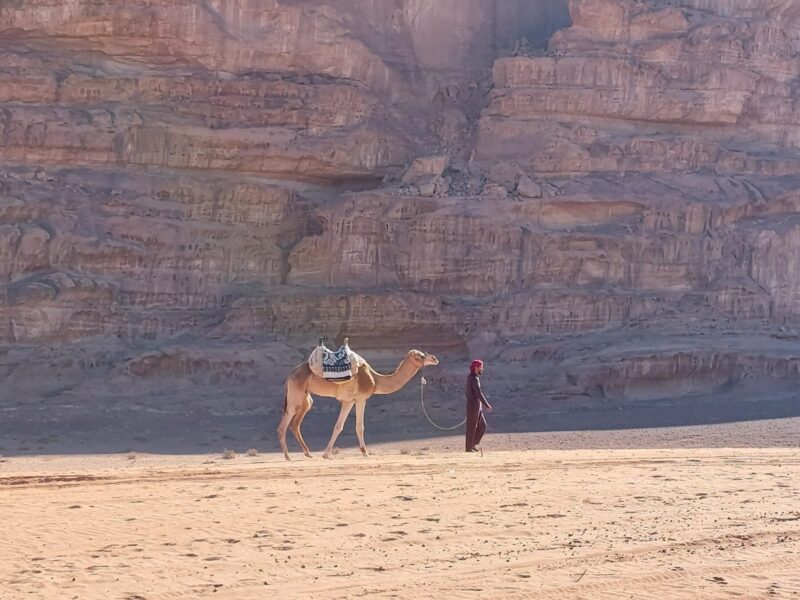 The Wadi Rum Ride, Jordan - Globetrotting horse riding holidays