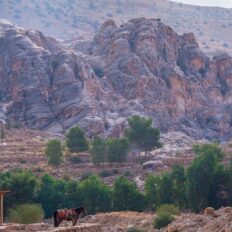 The Wadi Rum Ride, Jordan - Globetrotting horse riding holidays