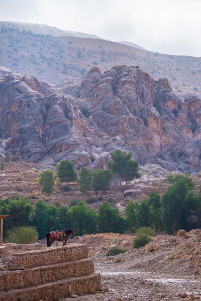 The Wadi Rum Ride, Jordan - Globetrotting horse riding holidays
