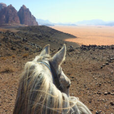 The Wadi Rum Ride, Jordan - Globetrotting horse riding holidays
