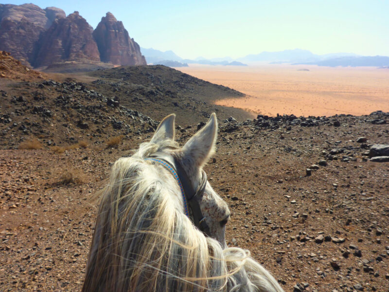 The Wadi Rum Ride, Jordan - Globetrotting horse riding holidays