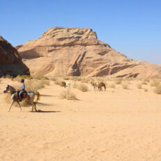 The Wadi Rum Ride, Jordan - Globetrotting horse riding holidays