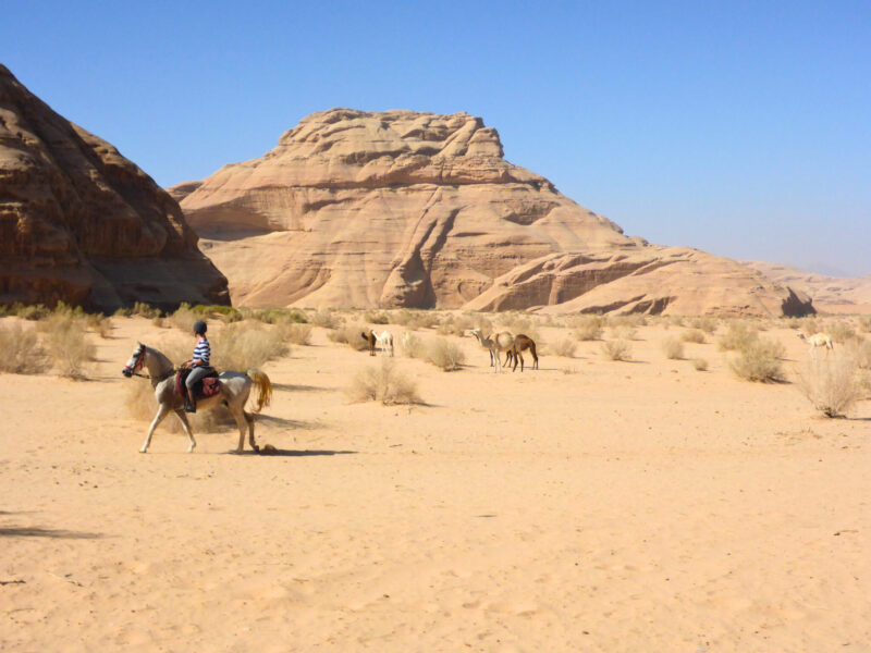 The Wadi Rum Ride, Jordan - Globetrotting horse riding holidays