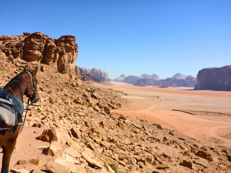 The Wadi Rum Ride, Jordan - Globetrotting horse riding holidays