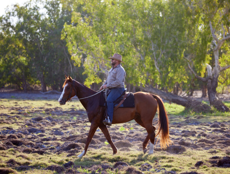 horse riding holiday Northern Territory