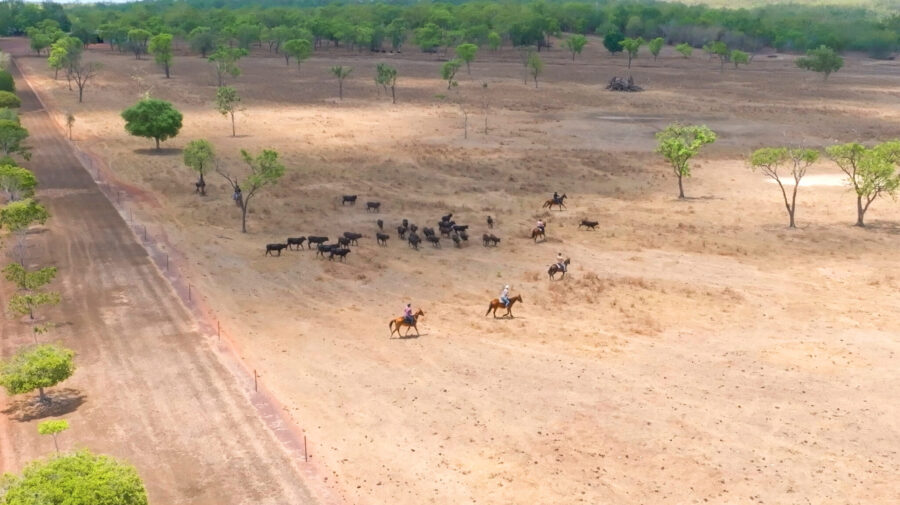 The Top End Ride - horse riding holiday Northern Territory - Globetrotting