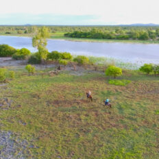 The Top End Ride - horse riding holiday Northern Territory - Globetrotting