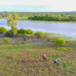 The Top End Ride - horse riding holiday Northern Territory - Globetrotting