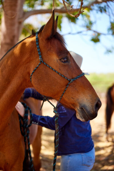 The Top End Ride - horse riding holiday Northern Territory - Globetrotting