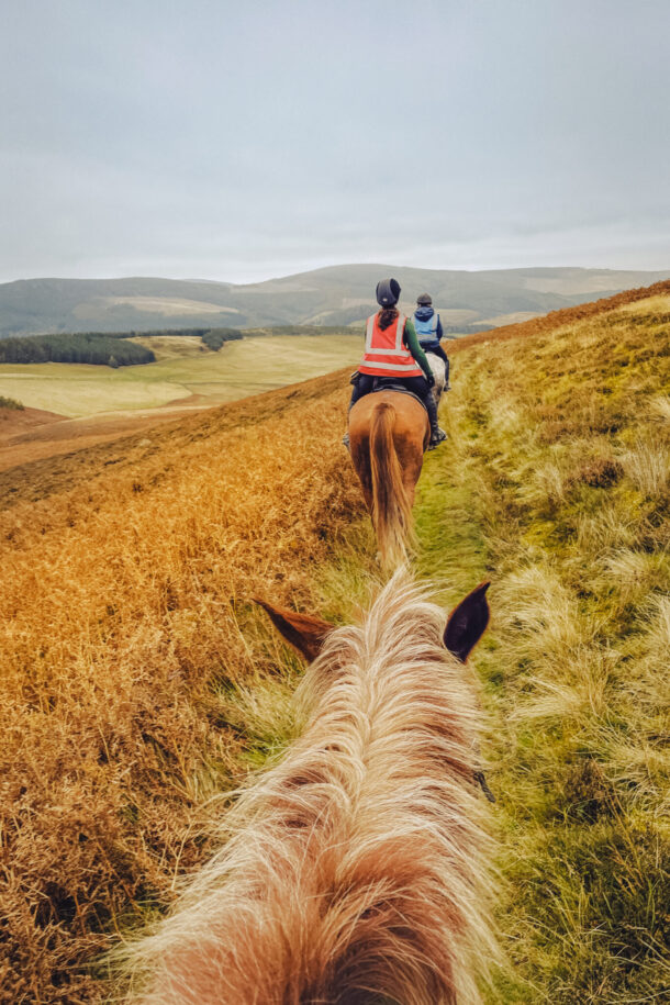 The Borders Riding Academy, Scotland Scotland, Globetrotting Horse Riding Holidays