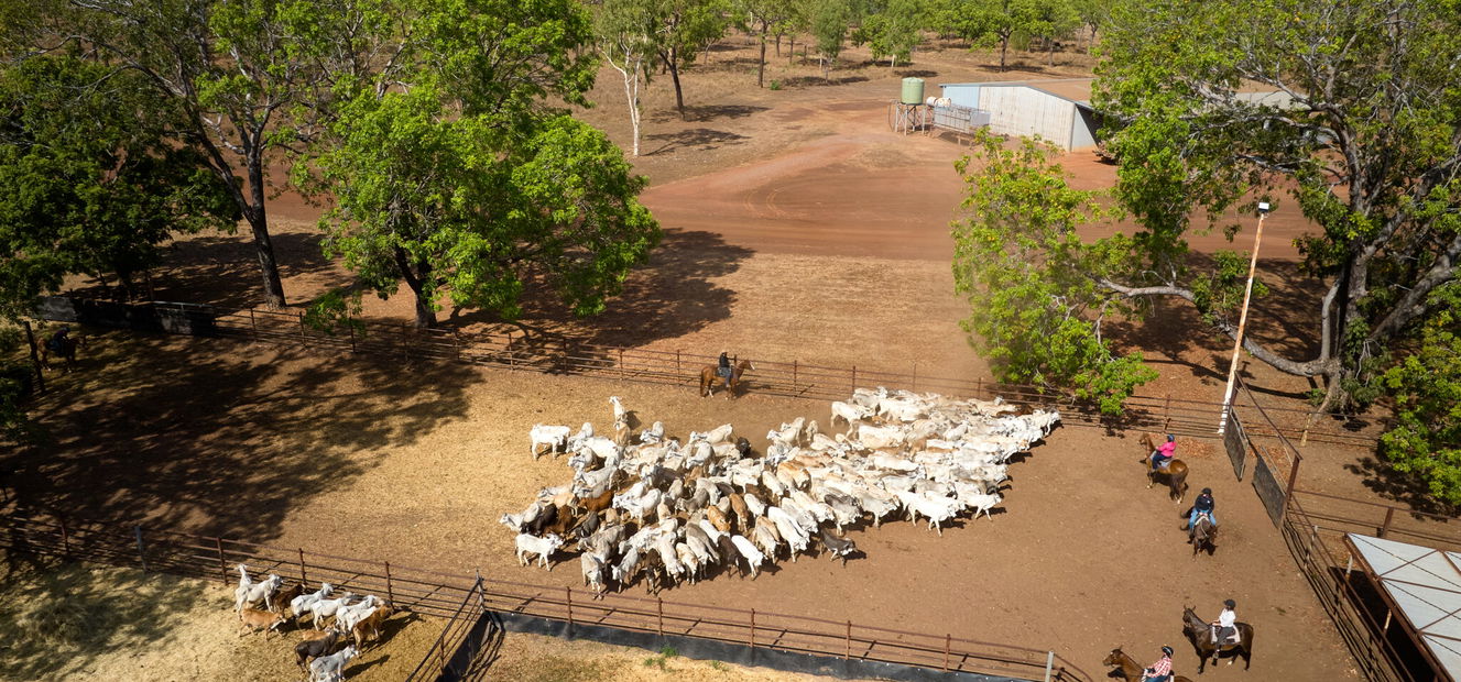 horse riding holiday Northern Territory
