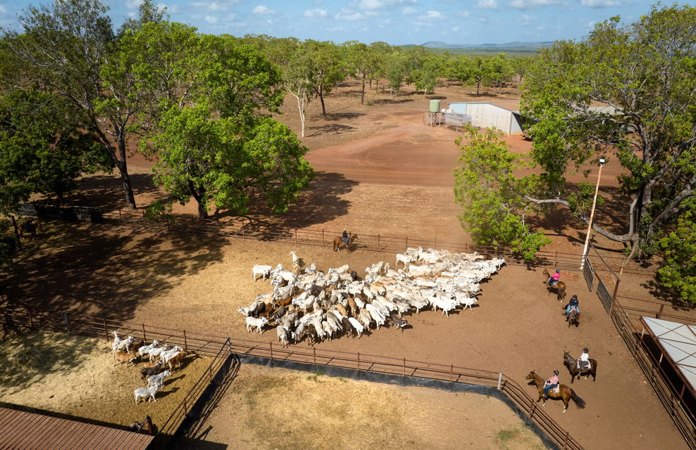 horse riding holiday Northern Territory