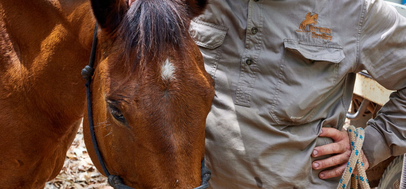 The Top End Ride - horse riding holiday Northern Territory - Globetrotting