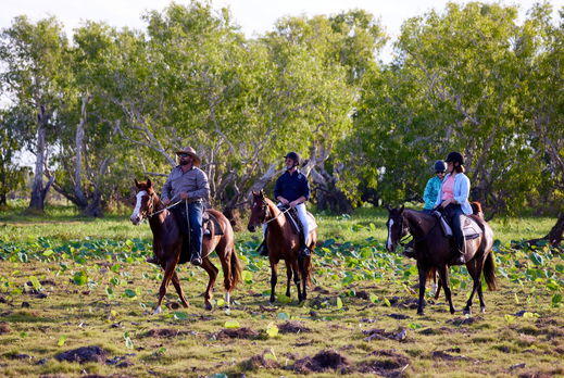 horse riding holiday Northern Territory