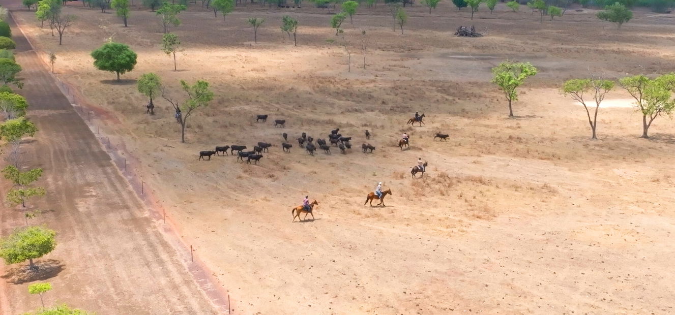 The Top End Ride - horse riding holiday Northern Territory - Globetrotting