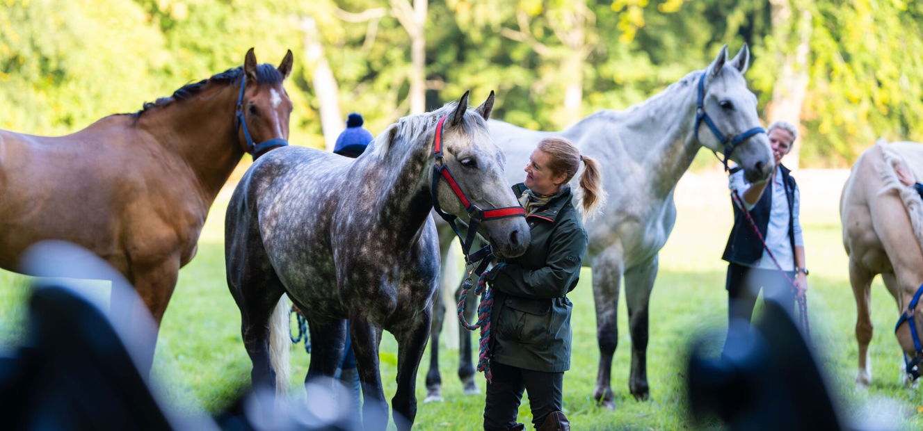 The Scottish Jewel, Scotland - Globetrotting horse riding holidays