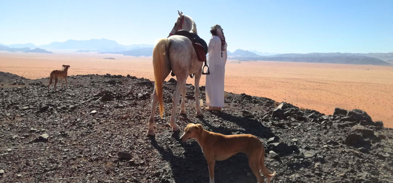 The Wadi Rum Ride, Jordan - Globetrotting horse riding holidays