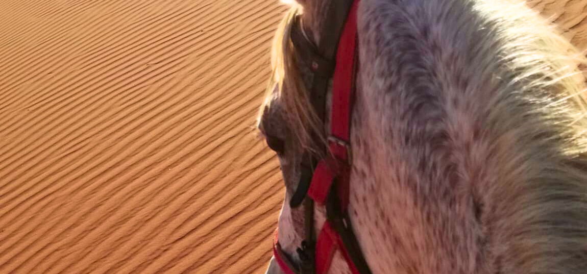 The Wadi Rum Ride, Jordan - Globetrotting horse riding holidays