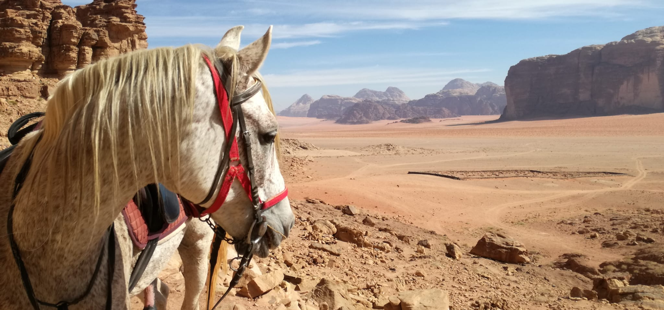The Wadi Rum Ride, Jordan - Globetrotting horse riding holidays