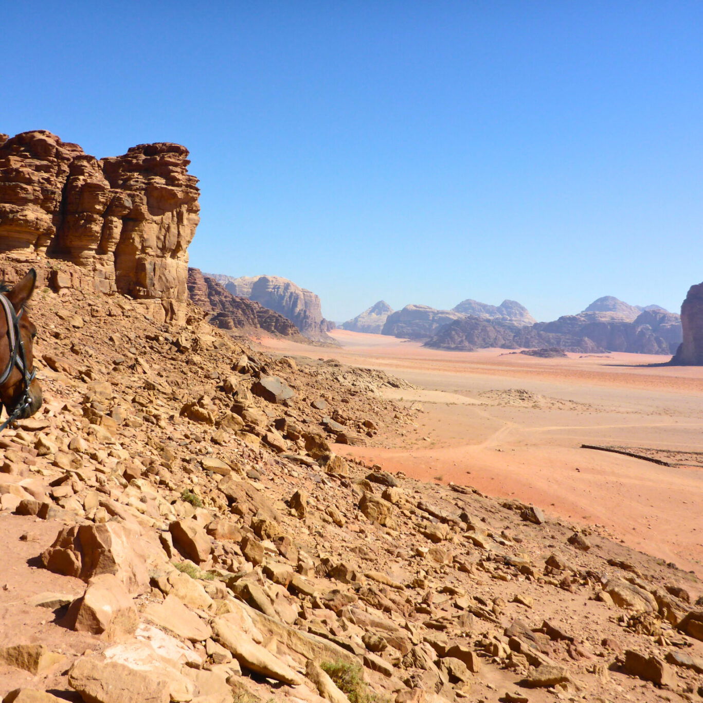 The Wadi Rum Ride, Jordan - Globetrotting horse riding holidays