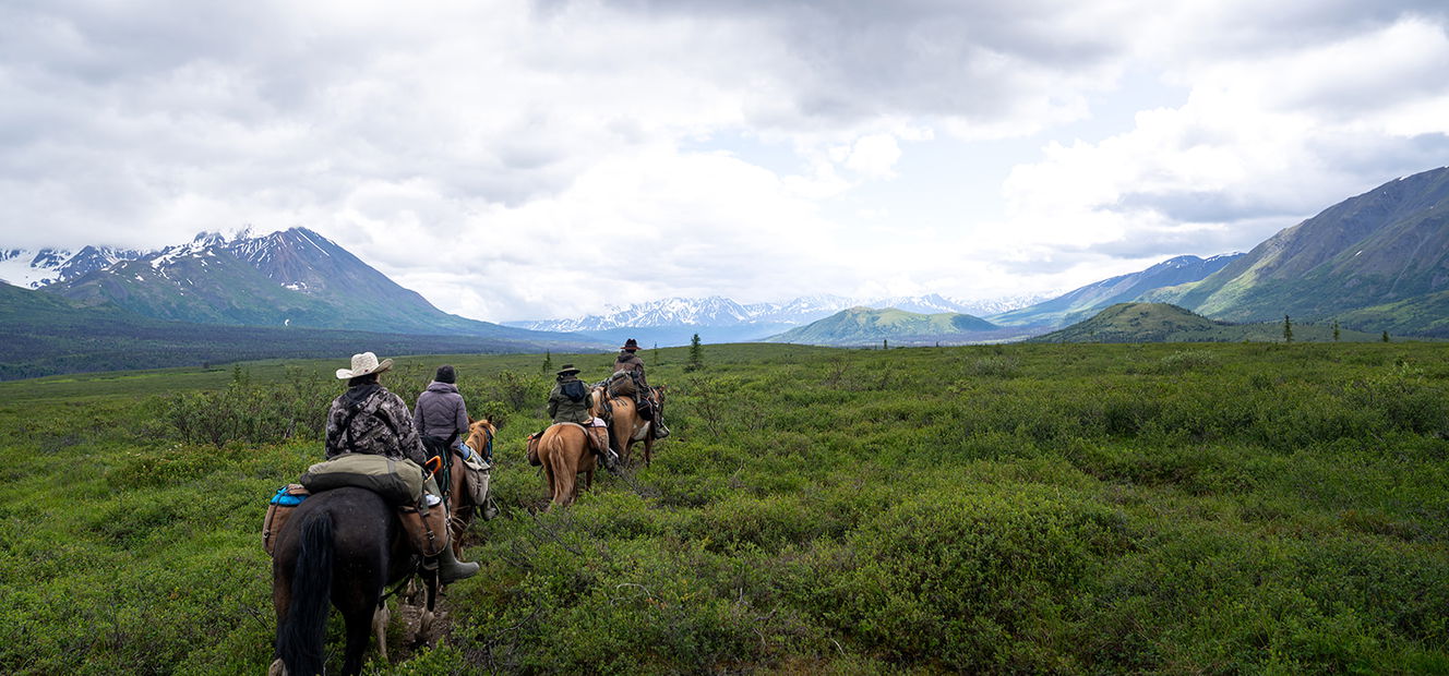 Alaska, USA - Globetrotting horse riding holidays
