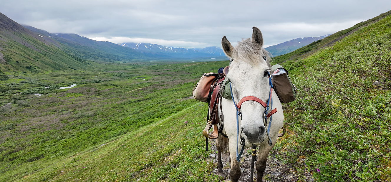 Alaska, USA - Globetrotting horse riding holidays