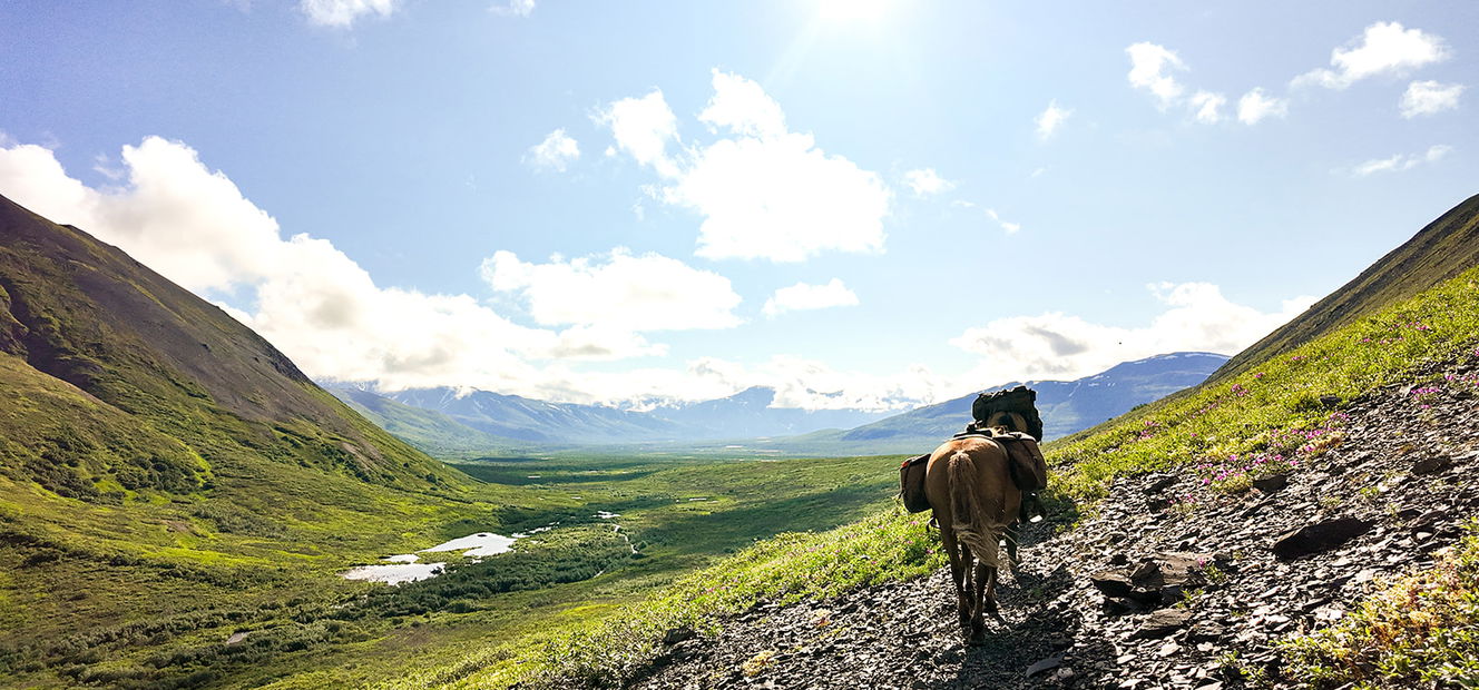 Alaska, USA - Globetrotting horse riding holidays