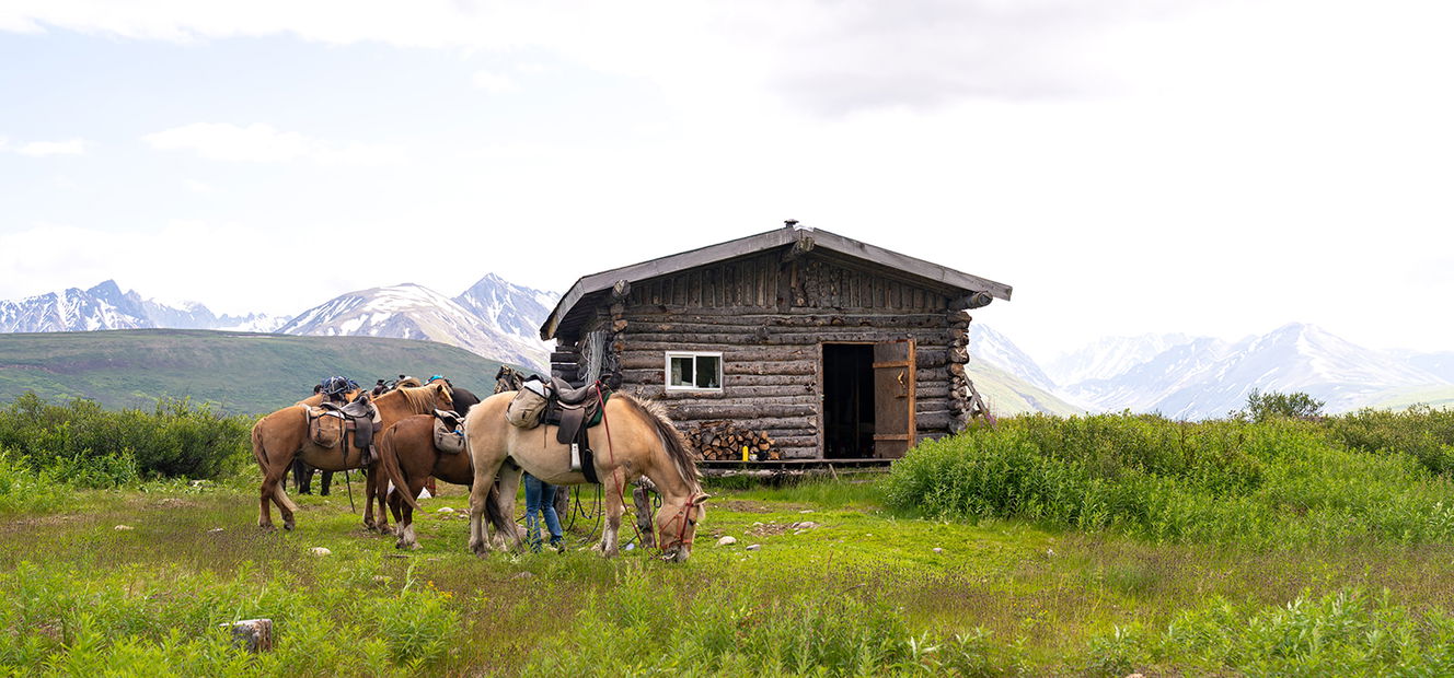 Alaska, USA - Globetrotting horse riding holidays