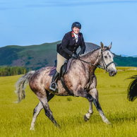 Scottish Borders Ride, Scotland, Globetrotting Horse Riding Holidays