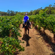 The Margaret River Ride, Australia, Globetrotting Horse Riding Holidays