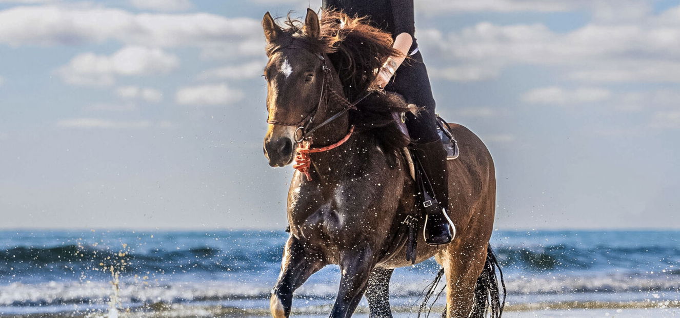 The Tassie Ride, Australia, Globetrotting Horse Riding Holidays