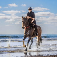 The Tassie Ride, Australia, Globetrotting Horse Riding Holidays