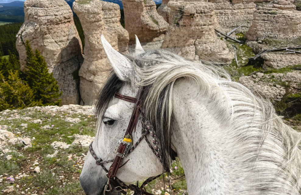 Shell, Wyoming, USA, Globetrotting Horse Riding Holidays