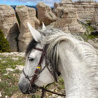 Shell, Wyoming, USA, Globetrotting Horse Riding Holidays