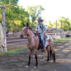 Ranch Ride in Hobson, Montana - Globetrotting horse riding holidays