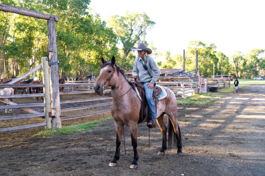 Ranch Ride in Hobson, Montana - Globetrotting horse riding holidays