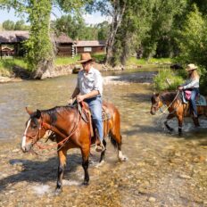 Ranch Ride in Hobson, Montana - Globetrotting horse riding holidays