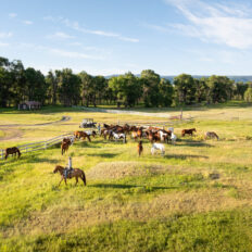 Ranch Ride in Hobson, Montana - Globetrotting horse riding holidays