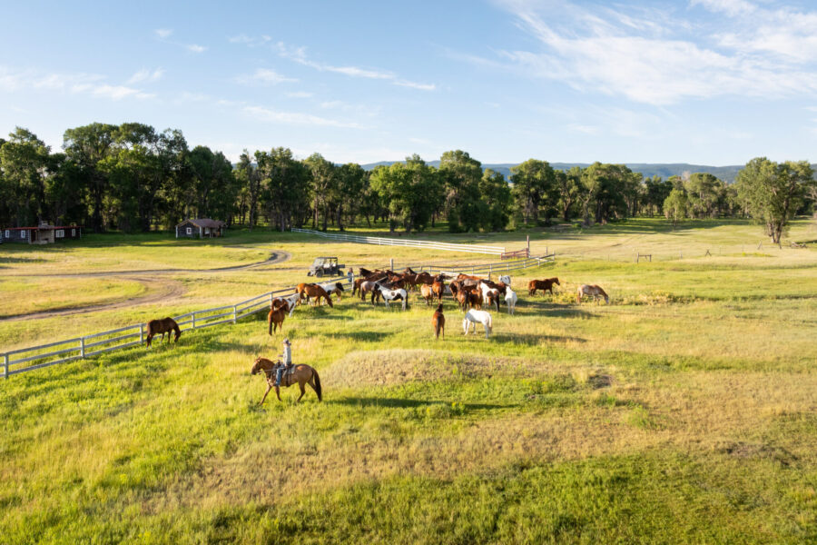 Ranch Ride in Hobson, Montana - Globetrotting horse riding holidays