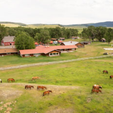 Ranch Ride in Hobson, Montana - Globetrotting horse riding holidays