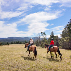 Ranch Ride in Hobson, Montana - Globetrotting horse riding holidays