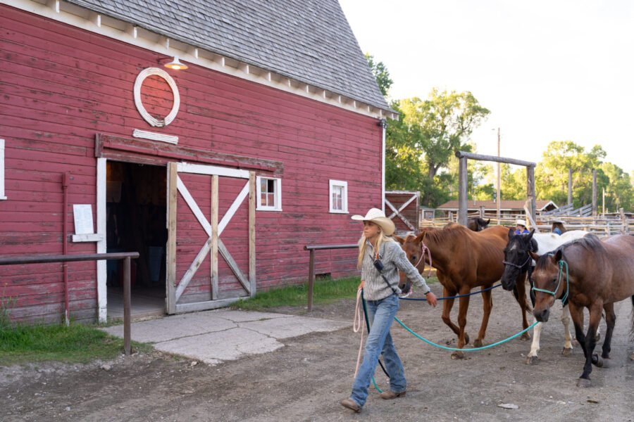 Ranch Ride in Hobson, Montana - Globetrotting horse riding holidays