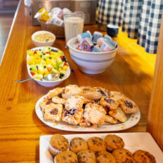 Ranch Ride in Hobson, Montana - Globetrotting horse riding holidays