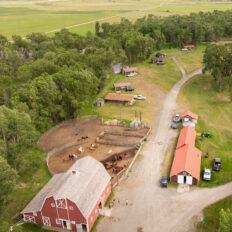 Ranch Ride in Hobson, Montana - Globetrotting horse riding holidays
