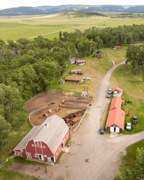Ranch Ride in Hobson, Montana - Globetrotting horse riding holidays