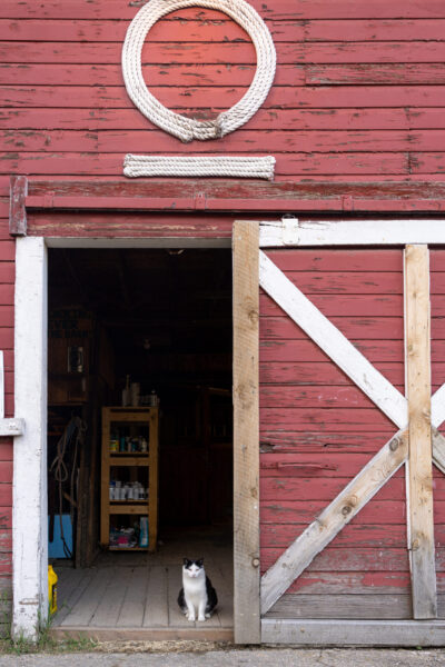 Ranch Ride in Hobson, Montana - Globetrotting horse riding holidays