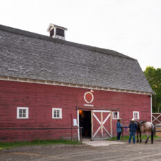 Ranch Ride in Hobson, Montana - Globetrotting horse riding holidays