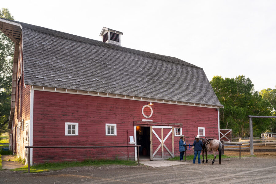 Ranch Ride in Hobson, Montana - Globetrotting horse riding holidays