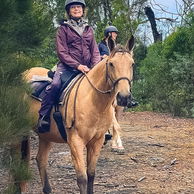 The Shoalhaven Ride, Australia, Globetrotting Horse Riding Holidays