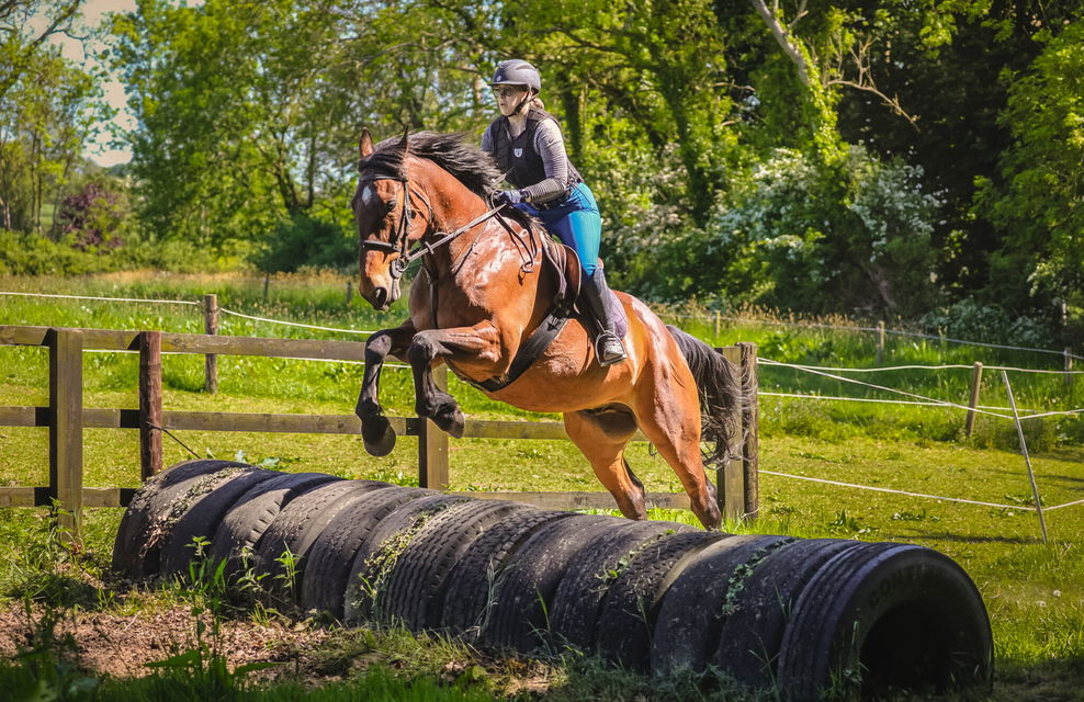 Cross Country in Tipperary, Ireland, Globetrotting, Horse Riding Holidays